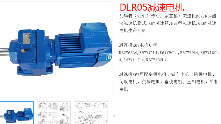 減速電機(jī)DLR05-113-DM112M-4-E-M1型號(hào).png